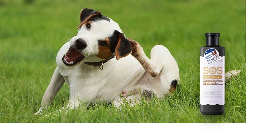 Sữa tắm SOS đen hỗ trợ điều trị phục hồi da nhạy cảm