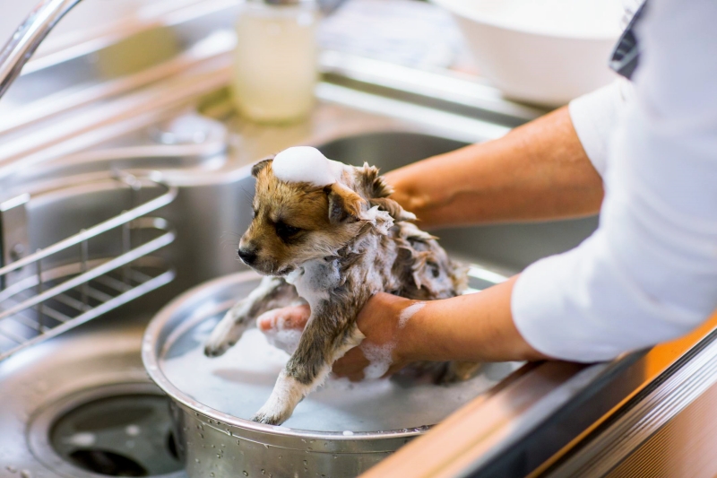 Nên tắm 2 lần để đạt hiệu quả tối ưu