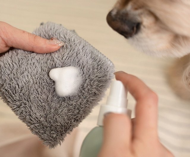 Người chủ đang chuẩn bị tắm khô cho chú chó của mình.