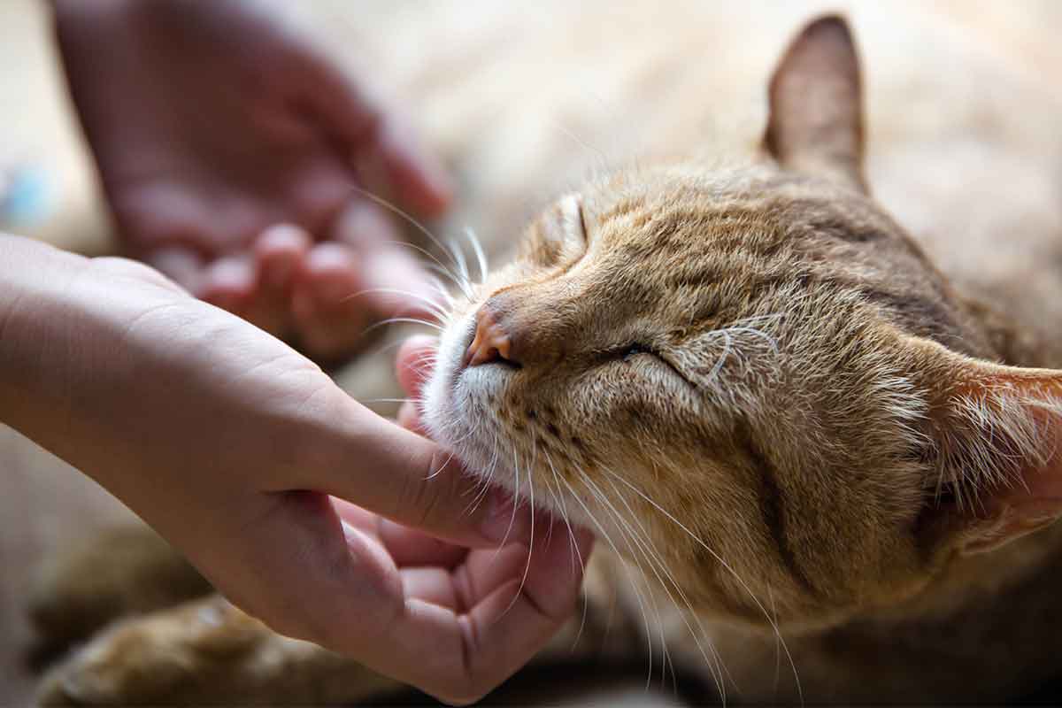 Trạng thái cân bằng của da mang lại cảm giác mềm mại khi chạm vào.