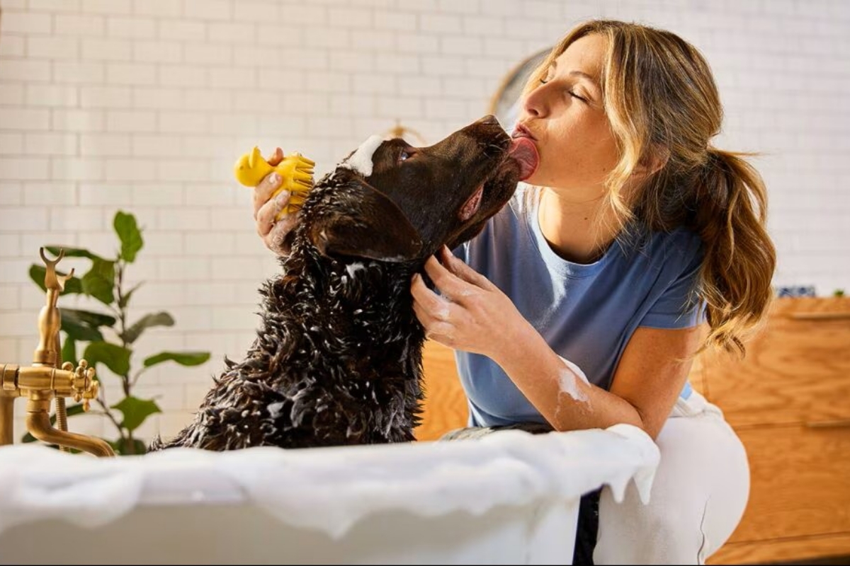 Cách chọn sữa tắm cho chó mèo