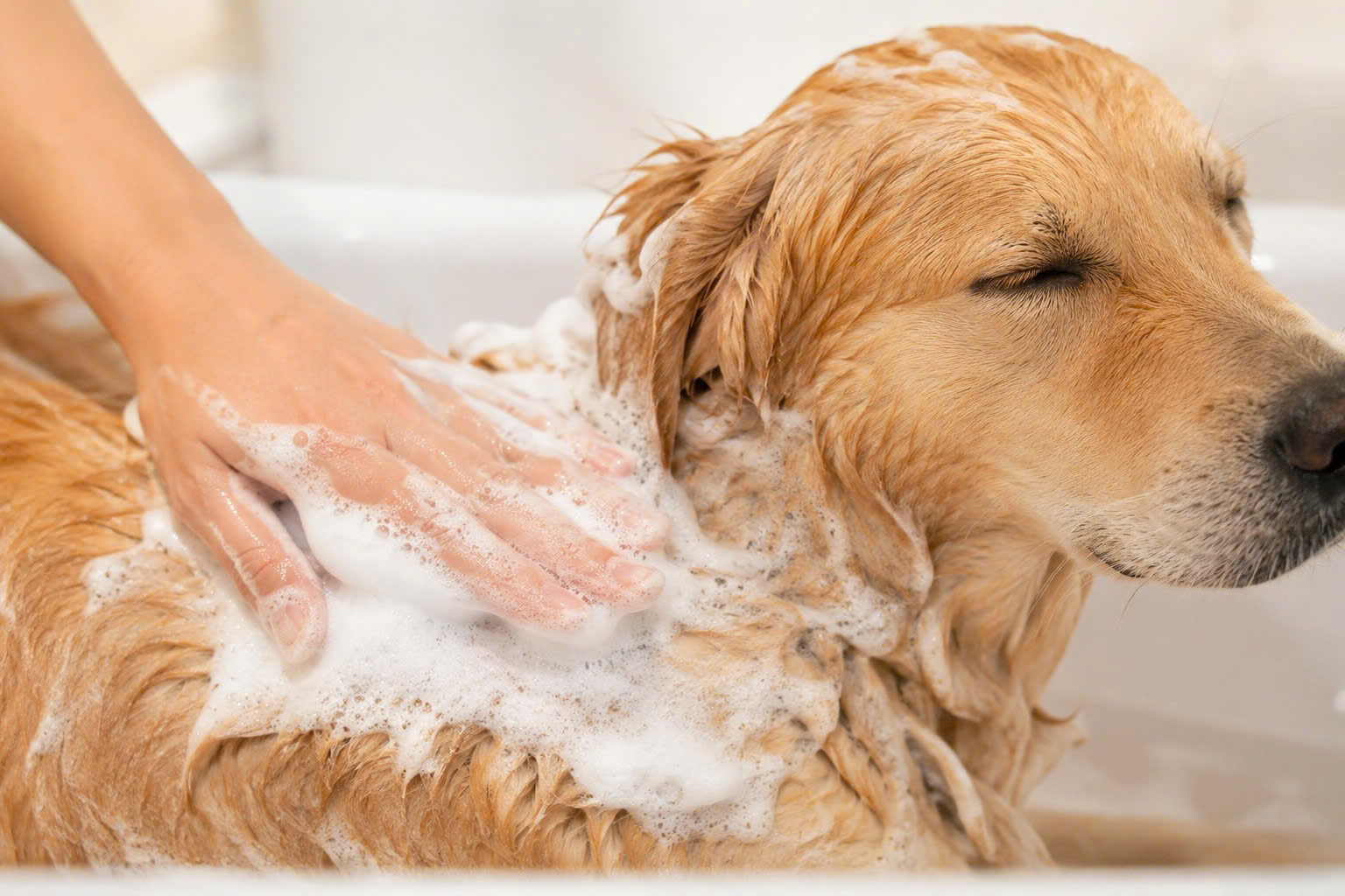 Thay đổi thao tác tắm bằng cách massage bằng lòng bàn tay giúp làm sạch dịu nhẹ và bảo vệ màng ẩm tự nhiên.