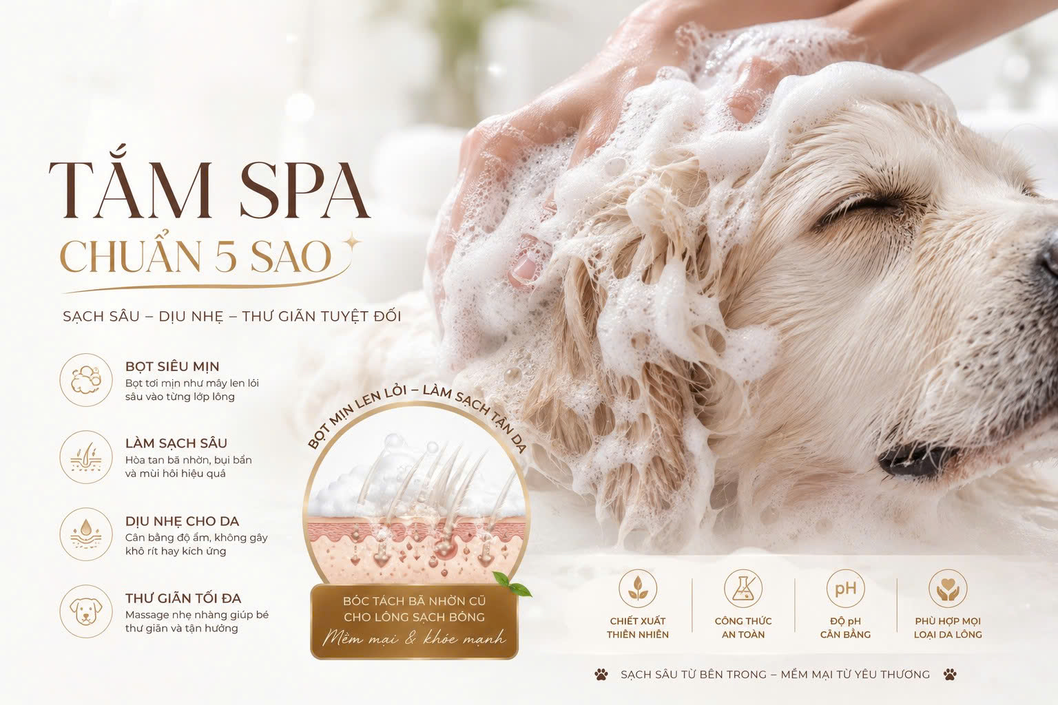 Quy trình làm sạch sâu bã nhờn chuẩn Salon giúp hạn chế gốc mùi hôi trên da chó mèo.