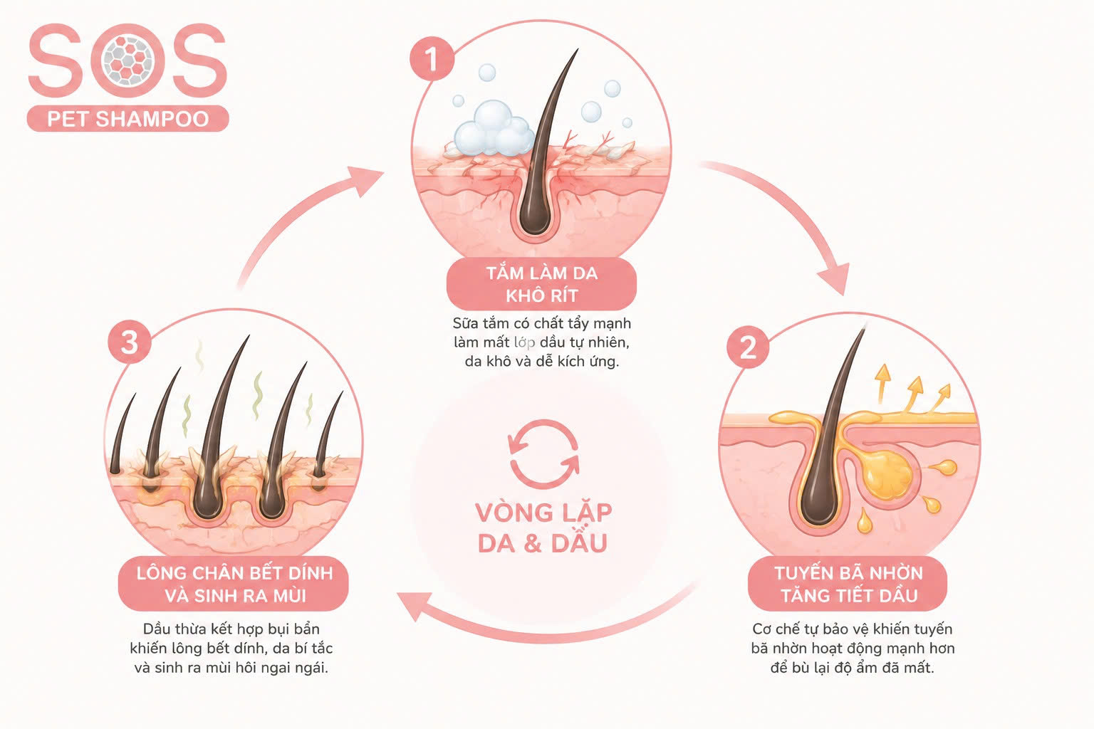 Da bị làm sạch quá mức sẽ phản ứng bằng cách tăng tiết bã nhờn, gây bết rít.
