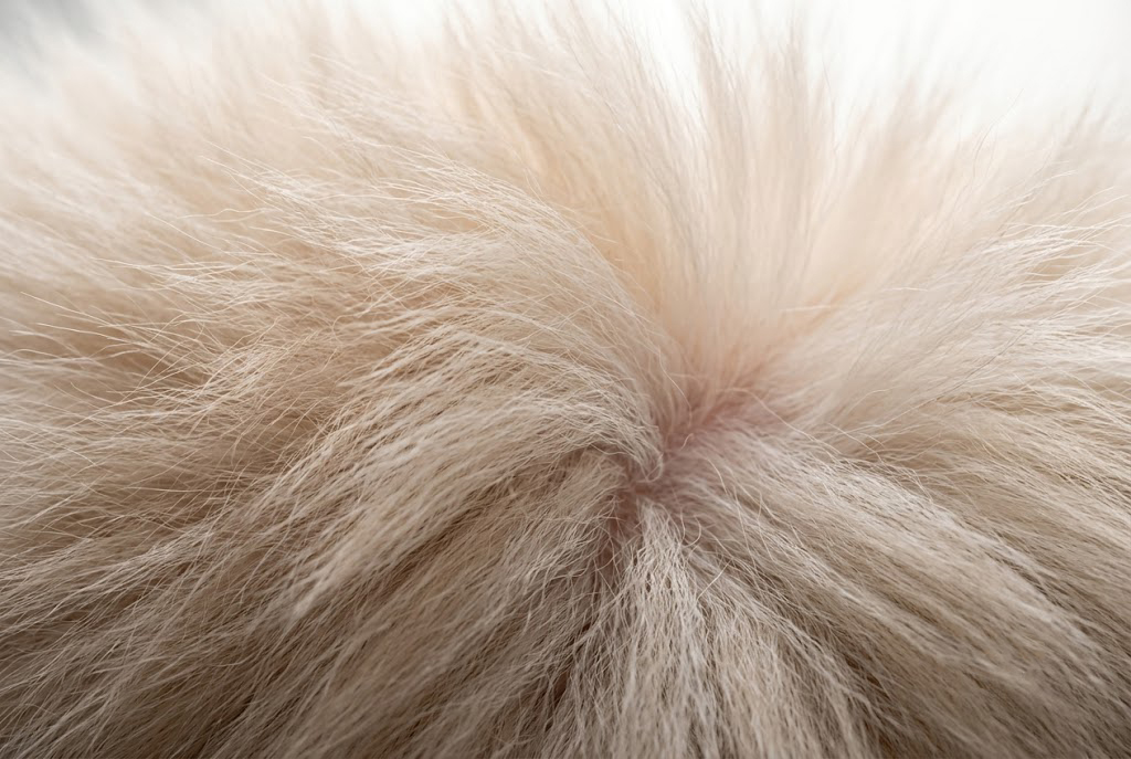 Kỹ thuật chải tơi (Airy brushing) giúp đưa luồng khí oxy trở lại bề mặt biểu bì, vô hiệu hóa nấm men.