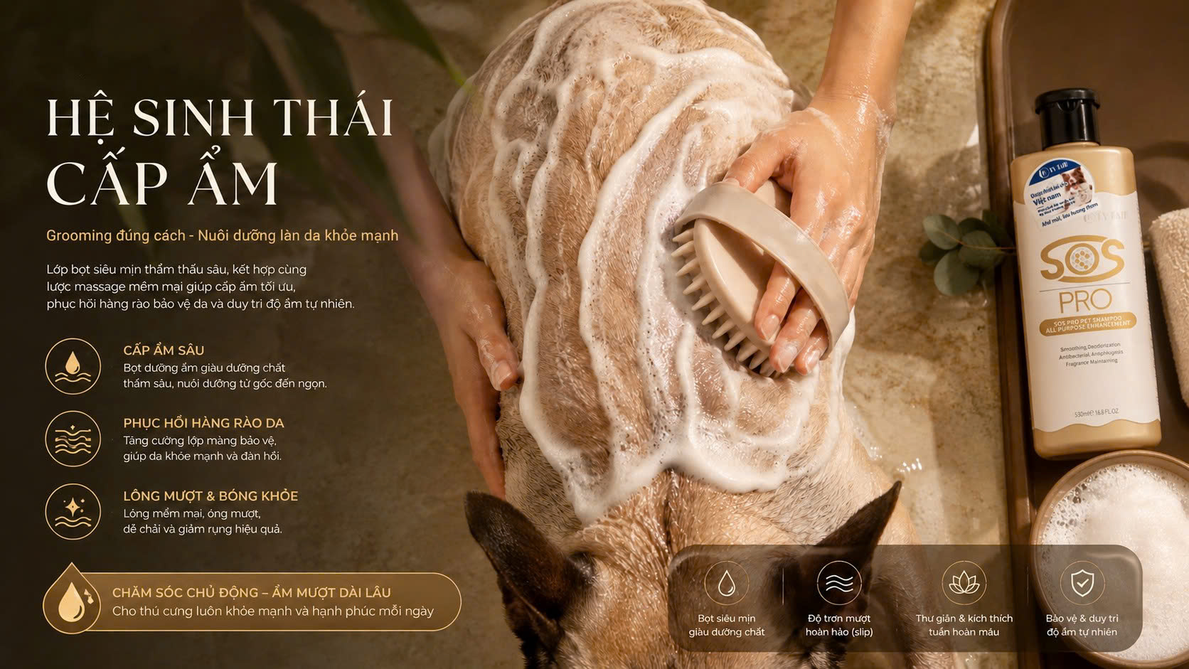 Massage kích thích tuần hoàn biểu bì kết hợp liệu trình dưỡng ẩm sâu giúp phục hồi nang lông chó mèo.