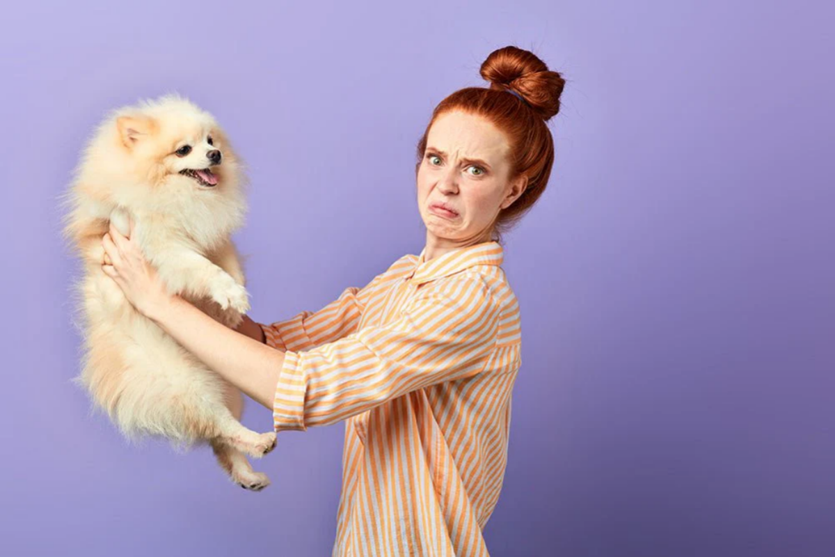 Mùi hôi bất thường ở chó mèo là sinh lý hay bệnh lý?