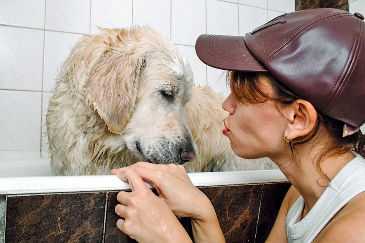 Nhiệt độ và áp lực nước là chi tiết nhỏ nhưng có quyết định to lớn tới sự an toàn của màng ẩm