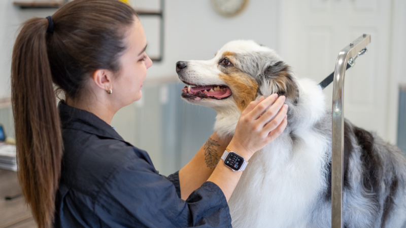 Tôn trọng độ pH sinh lý là nguyên tắc tối thượng trong Grooming trị liệu.