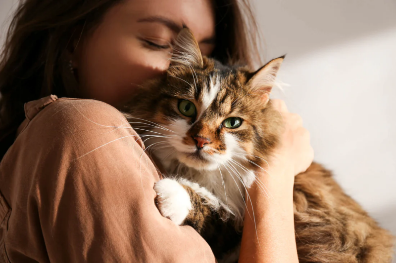 Thói quen grooming hằng ngày mang lại sự bình yên cho làn da chó mèo.
