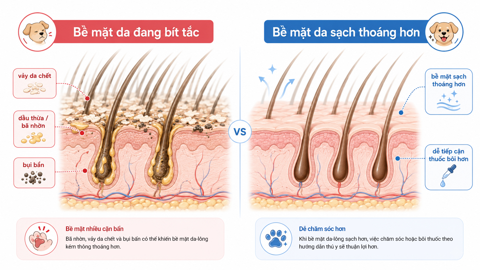 Làm sạch bề mặt da lông cho chó bị viêm da bằng bọt dịu nhẹ.
