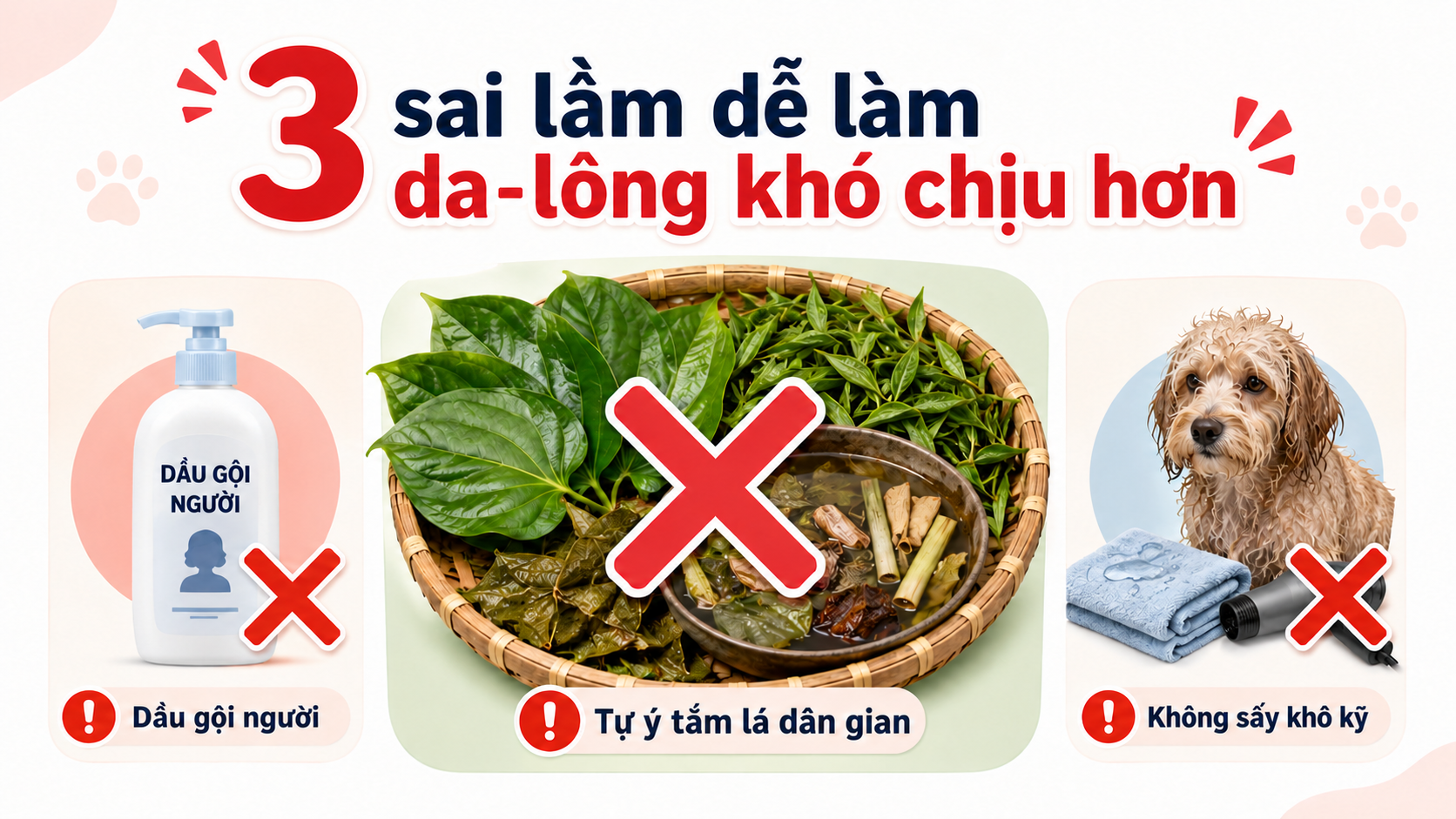 Cảnh báo sai lầm khi dùng nước lá dân gian hoặc dầu gội người cho chó bị viêm da.