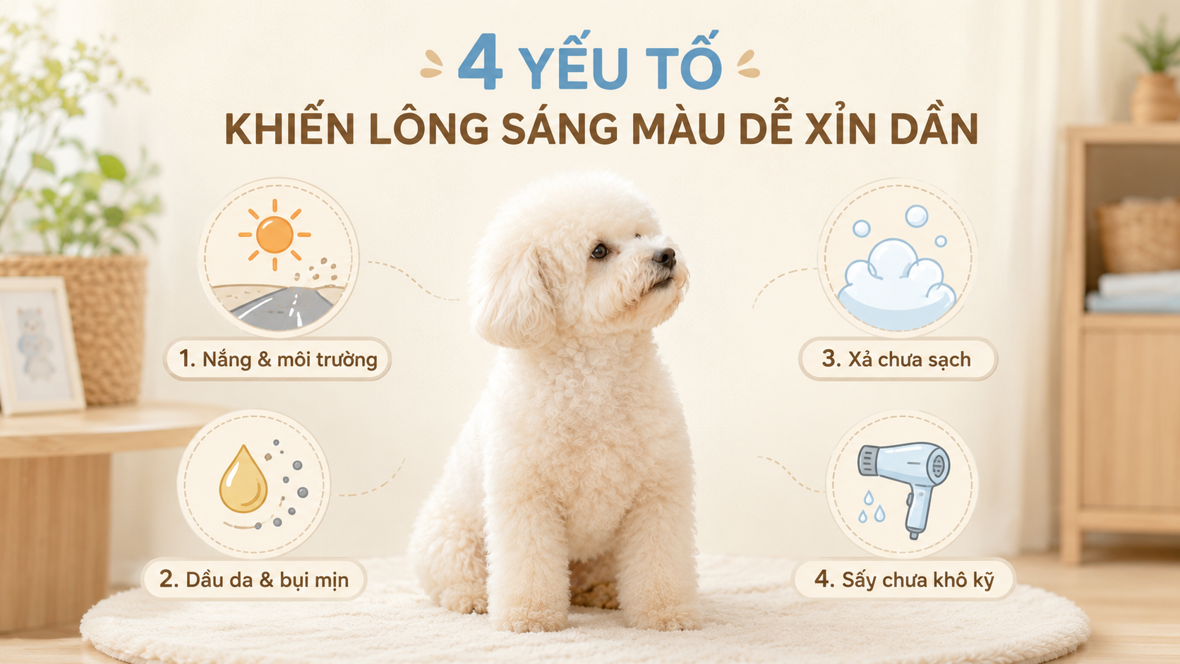 4 yếu tố khiến lông chó bị xỉn màu.