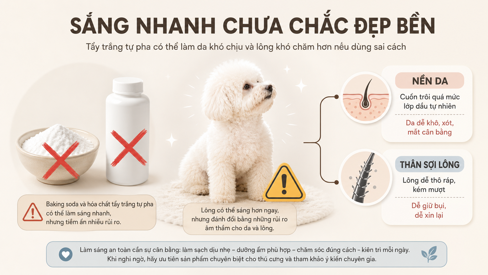 Cảnh báo không dùng baking soda hay hóa chất tẩy trắng lông chó.